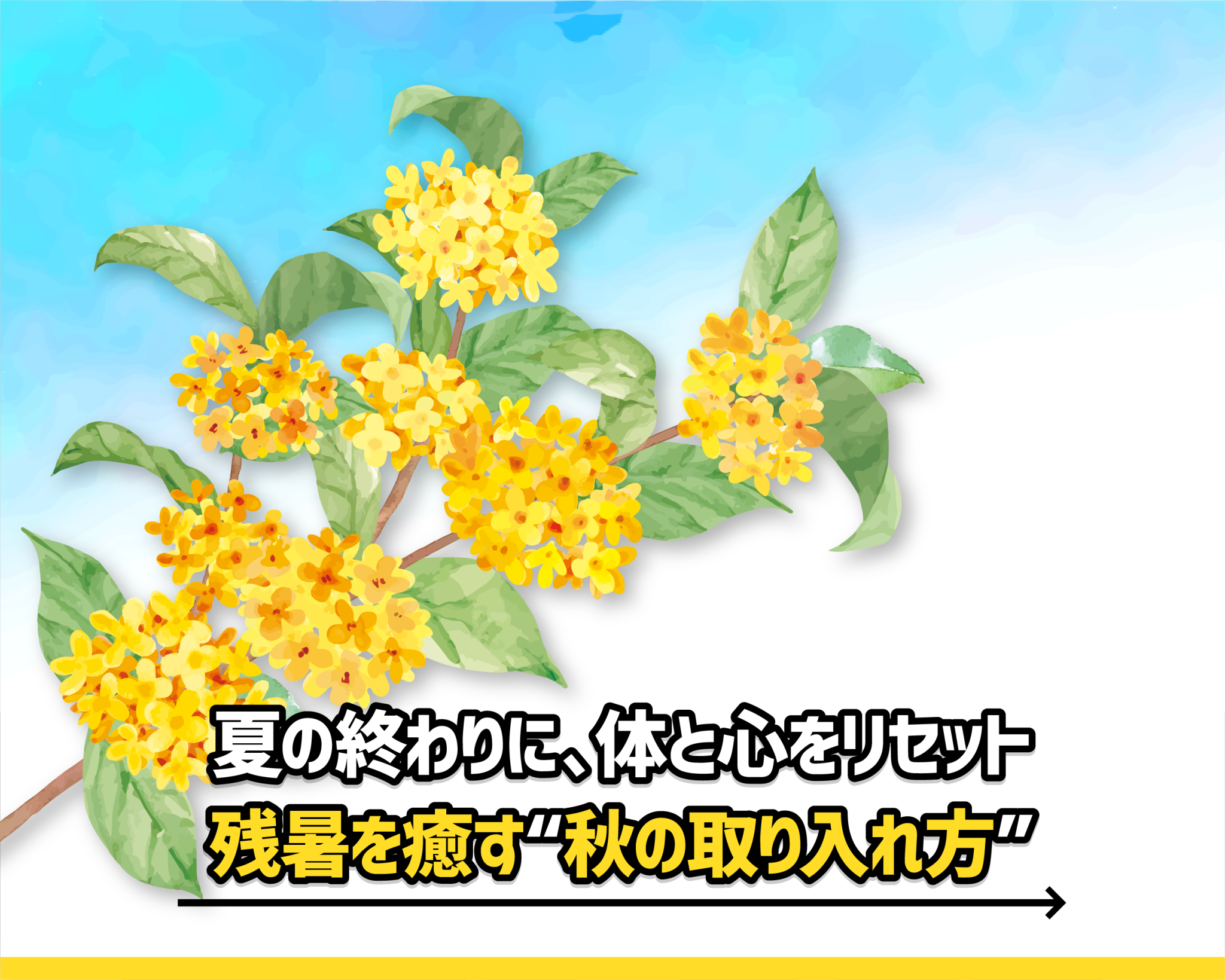 夏の終わりに、体と心をリセット。残暑を癒す“秋の取り入れ方”